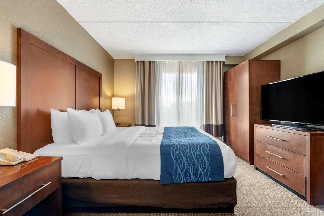 Comfort Inn&suites Orlando North 3*